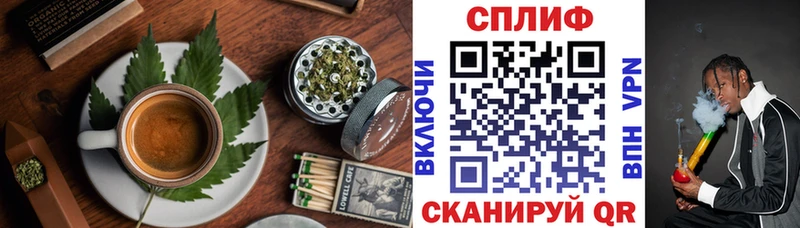 Купить где  Губаха  Canna-Cookies марихуана 