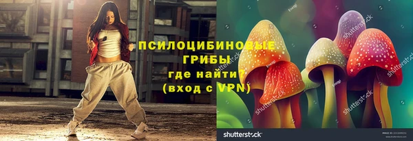 ПСИЛОЦИБИНОВЫЕ ГРИБЫ Балахна