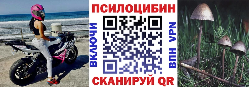 Галлюциногенные грибы ЛСД  Купить закладки  Губаха 